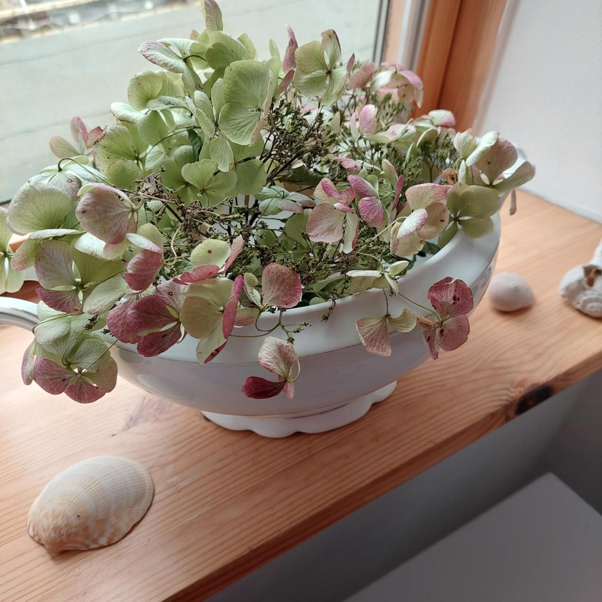 "Nordwest" Ferienwohnung Prerow Luaran gambar